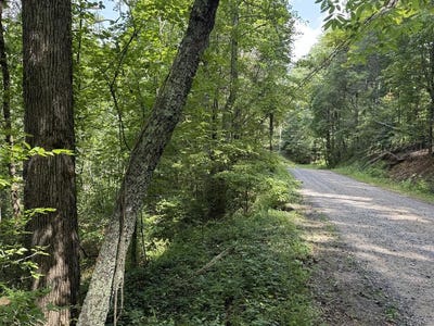 /international/us/lot-22-larue-lane-ellijay-ga-110101177335/