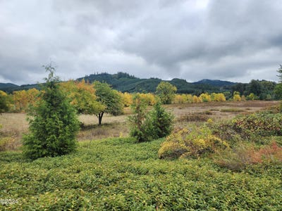 /international/us/19326-alsea-highway-alsea-or-110104608010/
