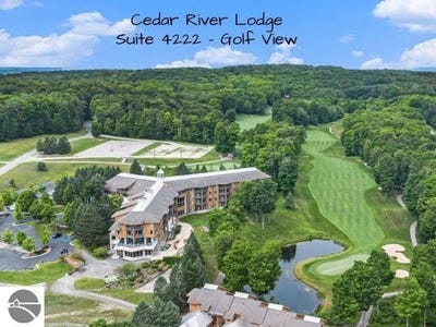 /international/us/2400-troon-south-bellaire-mi-110107999226/