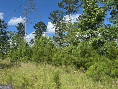 /international/us/lot-10-tennille-oconee-tennille-ga-110100409915/?lang=es