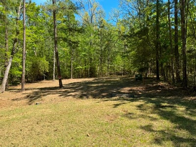 /international/us/dingy-ln-lot-38-39-brookeland-tx-110105355862/