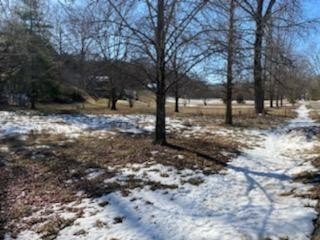 /international/us/lot-8-foggy-river-road-hollister-mo-110108240313/