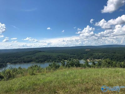 /international/us/county-road-767-lot-231-cedar-bluff-al-110110259208/
