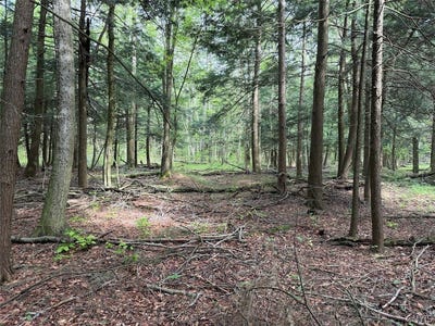 /international/us/kellogg-hill-road-south-dayton-ny-110108336366/