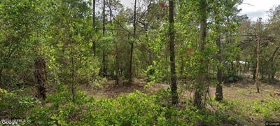 /international/us/105-pinetree-street-pomona-park-fl-110119345065/