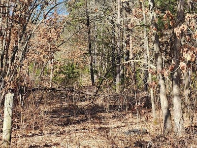 /international/us/koval-road-lyndon-station-wi-110097191780/
