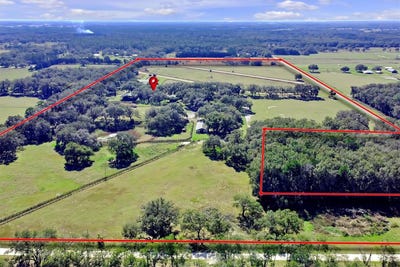 /international/us/551-ne-200-avenue-williston-fl-110102826631/