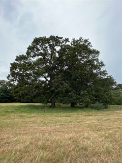 /international/us/county-road-3515-dike-tx-110101593587/