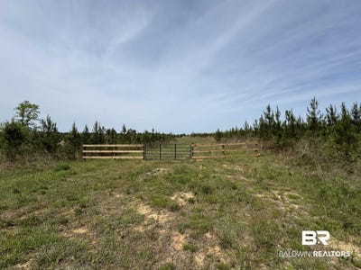 /international/us/1-county-road-64-robertsdale-al-110110099632/