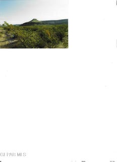 /international/us/pn-14466-unincorporated-tx-110105091779/