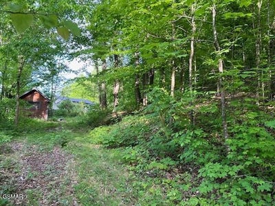 /international/us/2r2-s-rogers-road-seymour-tn-110107715852/