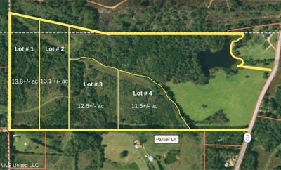 /international/us/parker-lane-lot-3-hazlehurst-ms-110107485341/