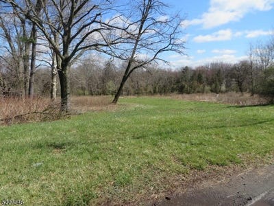 /international/us/3366-rt-22-branchburg-twp-nj-110097752917/
