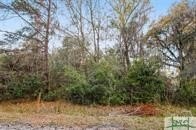 /international/us/0-marie-lot-15-marie-avenue-midway-ga-110107318078/