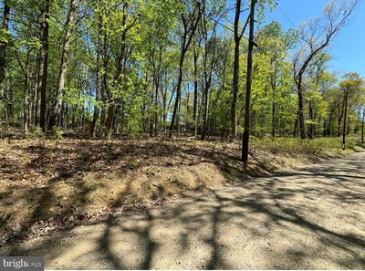 /international/us/honeysuckle-lane-lot-92-bluemont-va-110110219783/