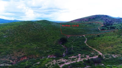 /international/us/lot-42-n-hidden-oaks-trail-39-acres-douglas-az-110100695668/?lang=en