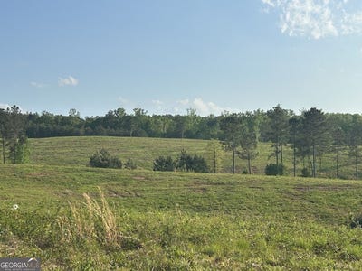 /international/us/0-needmore-road-345-37-acres-roopville-ga-110098958015/?lang=en