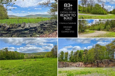 /international/us/state-route-28-lot-10-andes-ny-110092233622/