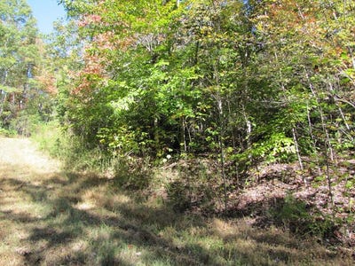 /international/us/melmark-acres-trail-lot-11-stuart-va-110046942801/