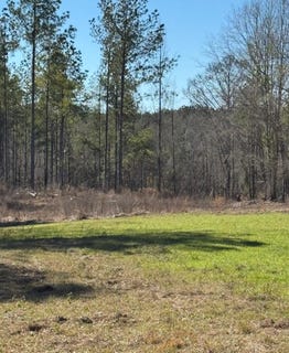 /international/us/cr-6650-brundidge-al-110106324139/