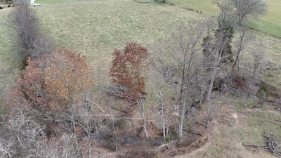 /international/us/216-west-bernard-rd-russell-springs-ky-110096262178/