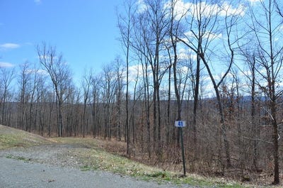 /international/us/lot-41-hemlock-hills-rd-towanda-pa-110090761052/