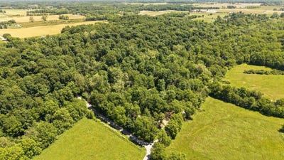 /international/us/co-rd-200-s-co-rd-300-w-ver-versailles-in-110108653390/