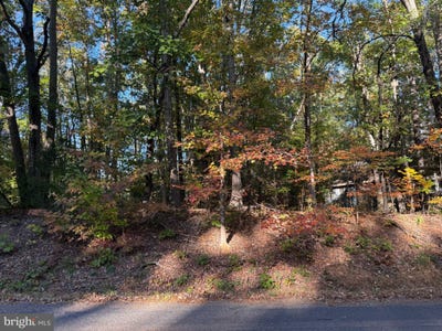 /international/us/204-constitution-boulevard-locust-grove-va-110120798613/
