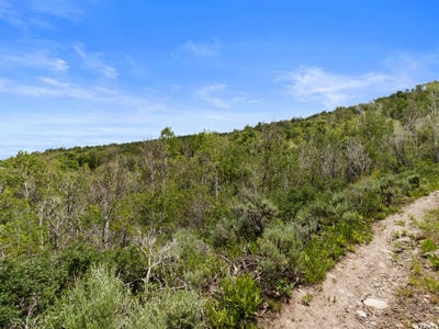 /international/us/4891-s-woodland-way-kamas-ut-110109217729/