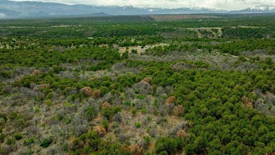 /international/us/850-canyon-ridge-road-montrose-co-110099376864/?lang=zh-tw
