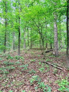 /international/us/0-county-road-450-poplar-bluff-mo-110108451647/