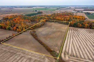 /international/us/wood-road-marlette-twp-mi-110095423876/