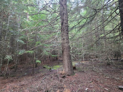 /international/us/elk-heights-lane-lot-a-2-heron-mt-110098435674/?lang=zh-cn