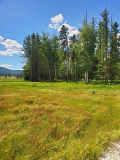 /international/us/5166-hattery-owens-rd-deer-park-wa-110092548861/?lang=en