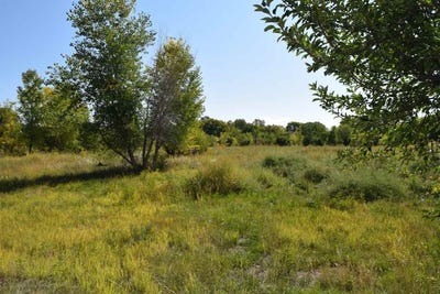 /international/us/183-county-road-41-alcalde-nm-110089714301/
