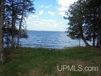 /international/us/e-shore-road-marenisco-mi-110109870715/