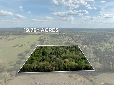 /international/us/white-tail-road-gilmer-tx-110108768521/