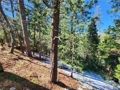 /international/us/26236-boulder-lane-twin-peaks-ca-110106803737/