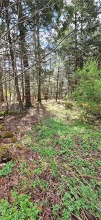 /international/us/bliss-gulf-road-milford-ny-110107711348/