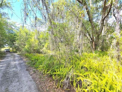 /international/us/904-viburnum-drive-sebring-fl-110109006706/