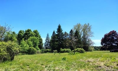 /international/us/5600-hemingway-lake-road-otter-lake-vlg-mi-110108569877/