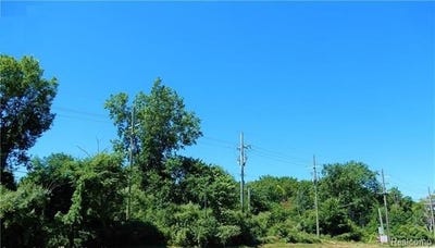/international/us/v-l-dixie-highway-independence-twp-mi-110106767819/