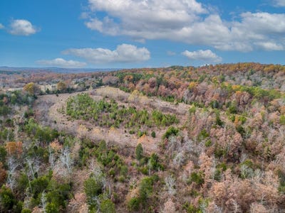 /international/us/kerley-point-cove-road-elizabeth-ar-110108765942/