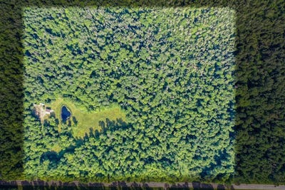 /international/us/n11182-county-rd-t-tripoli-wi-110101294759/