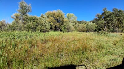 /international/us/189-acres-shingletown-ridge-road-shingletown-ca-110119650734/