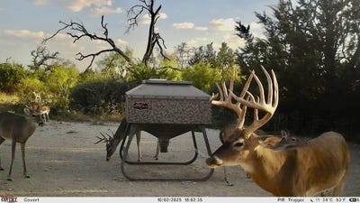 /international/us/267-cr-112-goldthwaite-tx-110100343053/
