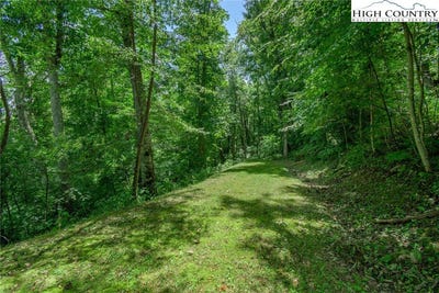 /international/us/153-linville-oaks-drive-linville-nc-110101858257/