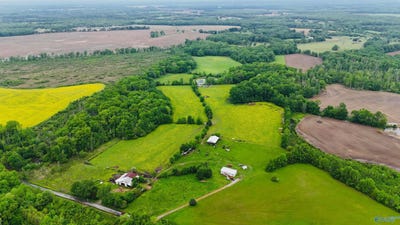 /international/us/82-45-echols-road-elora-tn-110101240422/