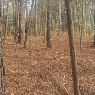 /international/us/569-gore-road-pickensville-al-110105035076/