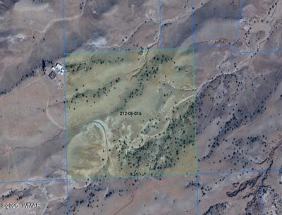 /international/us/lot-118-big-valley-ranches-concho-az-110101140781/